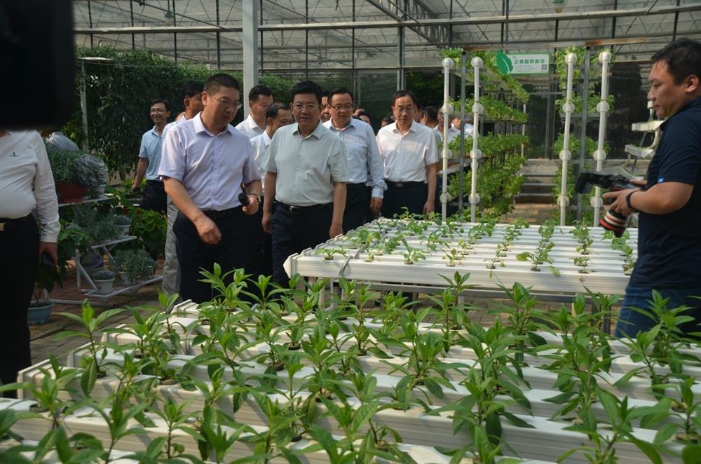 科技助農(nóng)，播撒光的種子  精準(zhǔn)扶貧，助力鄉(xiāng)村振興