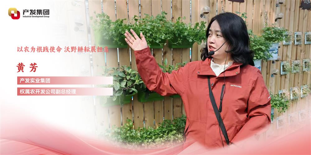 巾幗綻芳華 | 產(chǎn)發(fā)實業(yè)集團權(quán)屬農(nóng)開發(fā)公司 黃芳：以農(nóng)為根踐使命，沃野耕耘展擔當